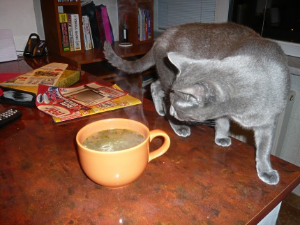 Chicken noodles soup and an unexpected guest