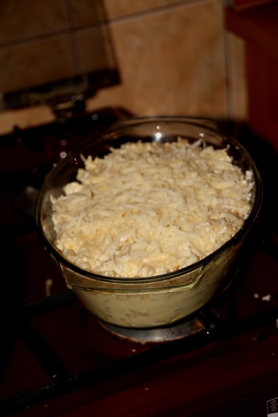 Macaroni cheese ready for baking