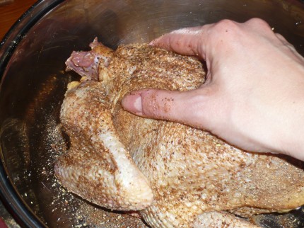 Rub the chicken with spices