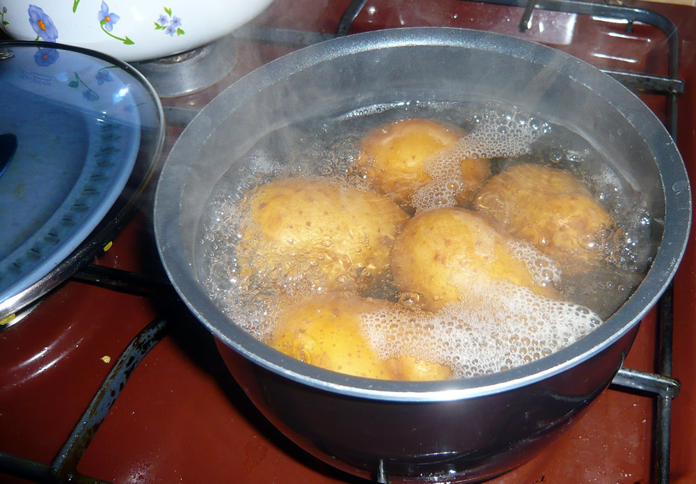 tinykitchen.mydailyrecipe.com/files/2011/03/boiling-potatoes.jpg